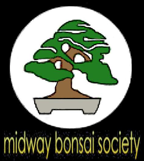 Webpage Midway Bonsai Society Midrand