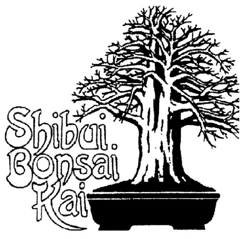 FB Page Shibui Bonsai Kai - Emmerentia